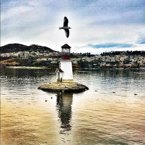 Meet your Posher, Sandy - Picture 6 of 8